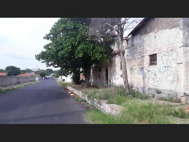 Imagem 3: Ee 081 - Terreno Rua Assis Veloso - Egledson