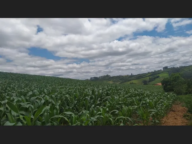 Imagem: Terreno Rural 10 Hectares Rio do Oeste Sc
