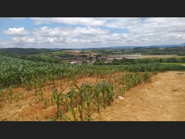 Imagem 4: Terreno Rural 10 Hectares Rio do Oeste Sc