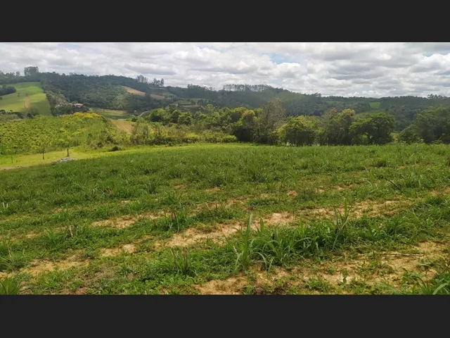 Imagem 5: Terreno Rural 10 Hectares Rio do Oeste Sc