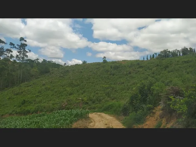 Imagem 13: Terreno Rural 10 Hectares Rio do Oeste Sc