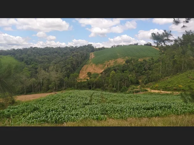 Imagem 14: Terreno Rural 10 Hectares Rio do Oeste Sc