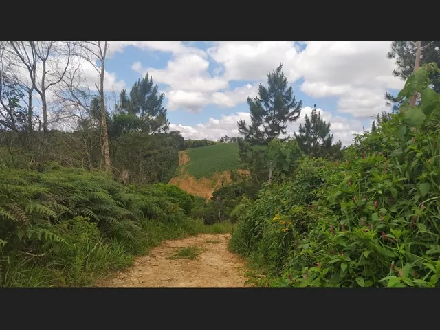Imagem 8: Terreno Rural 10 Hectares Rio do Oeste Sc