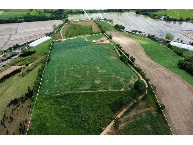 Imagem 7: Terreno Rural 10 Hectares Rio do Oeste Sc