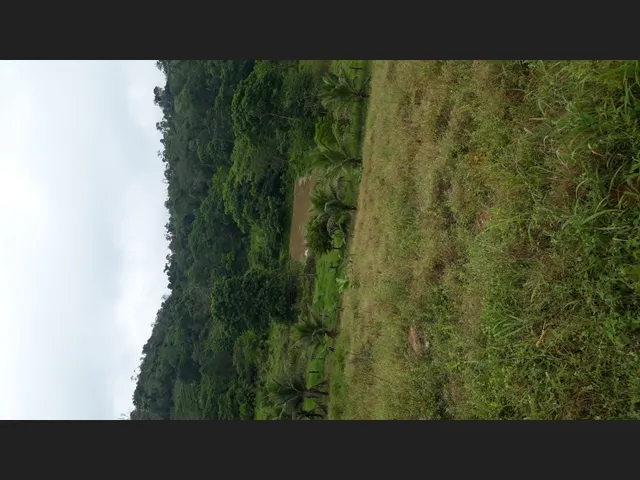 Imagem: Lindo Sitio