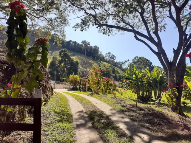 Imagem: Excelente Sítio - Carvalhos - Minas Gerais