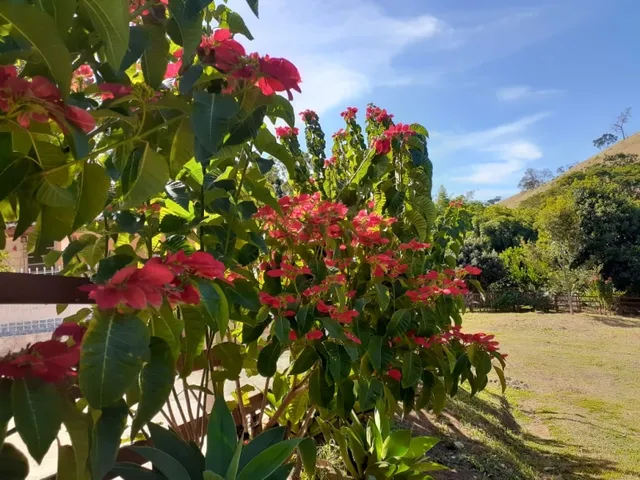 Imagem 2: Excelente Sítio - Carvalhos - Minas Gerais