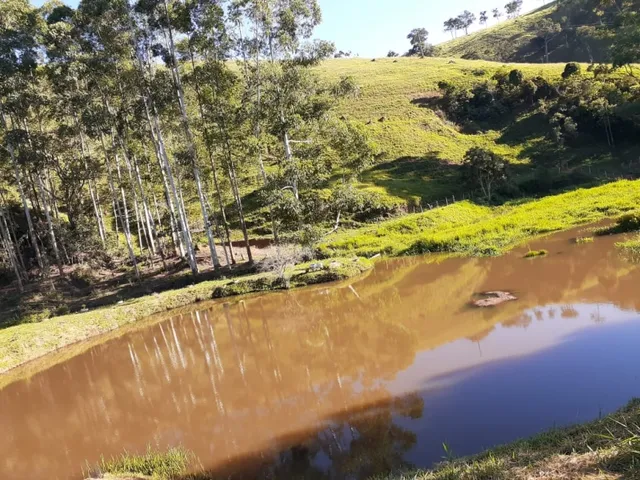 Imagem 13: Excelente Sítio - Carvalhos - Minas Gerais
