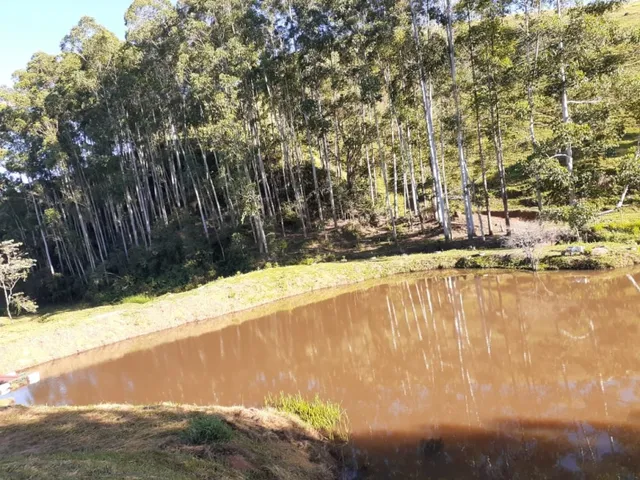 Imagem 9: Excelente Sítio - Carvalhos - Minas Gerais