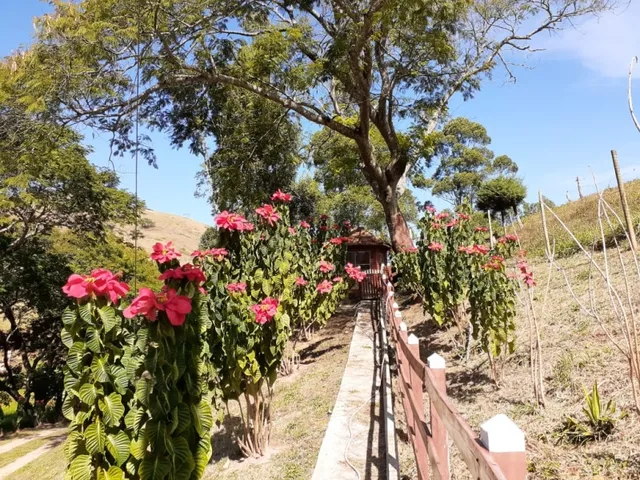 Imagem 16: Excelente Sítio - Carvalhos - Minas Gerais