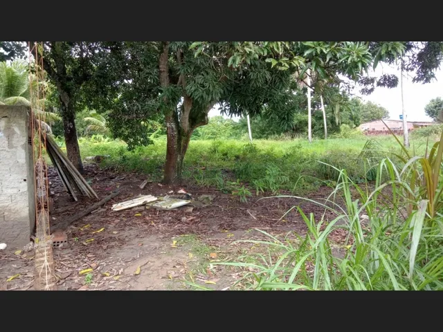 Imagem: Terrenos