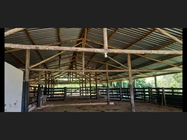 Imagem 8: Fazenda de 194 Há em Carmopolis de Minas Mg