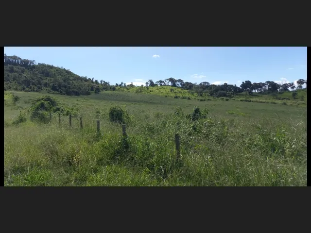 Imagem 7: Fazenda de 194 Há em Carmopolis de Minas Mg