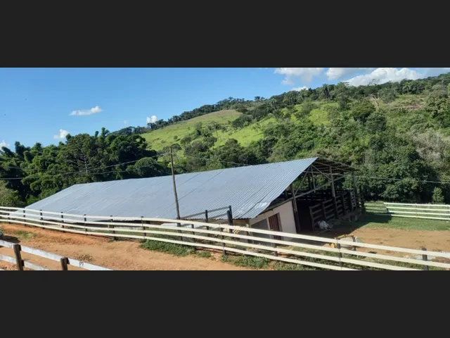 Imagem 3: Fazenda de 194 Há em Carmopolis de Minas Mg