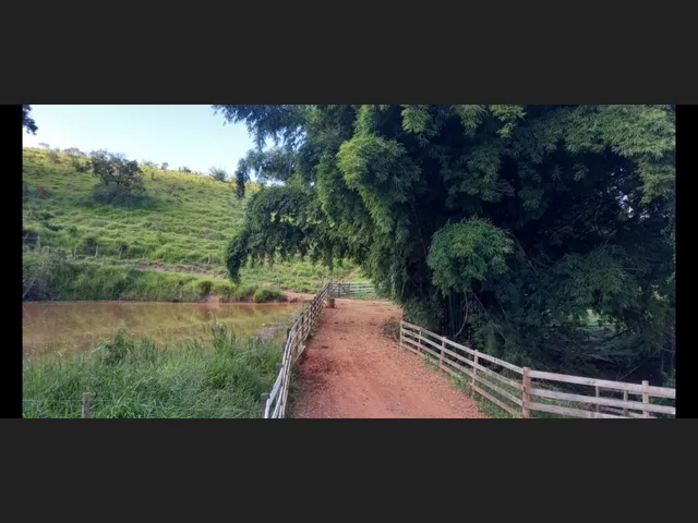 Imagem 16: Fazenda de 194 Há em Carmopolis de Minas Mg
