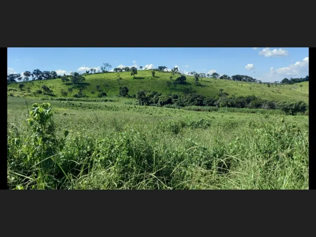 Imagem 6: Fazenda de 194 Há em Carmopolis de Minas Mg