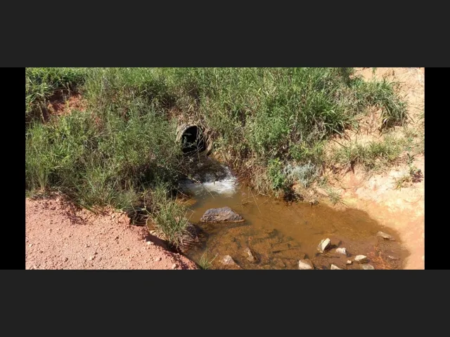 Imagem 4: Fazenda de 194 Há em Carmopolis de Minas Mg