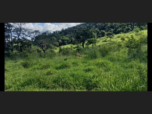 Imagem 15: Fazenda de 194 Há em Carmopolis de Minas Mg