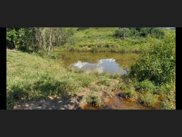 Imagem 14: Fazenda de 194 Há em Carmopolis de Minas Mg