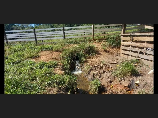 Imagem 2: Fazenda de 194 Há em Carmopolis de Minas Mg