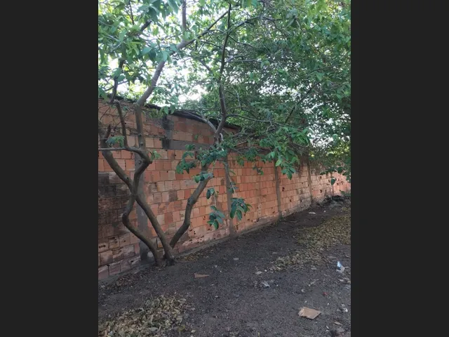 Imagem 9: Lote com Casa 2 Quartos no Jardim Brasília Sul, Luziânia - Go