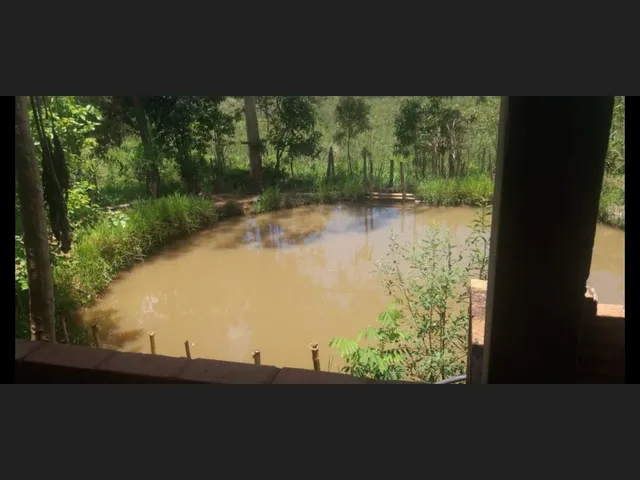 Imagem 9: Sítio de 3 Há em Carmopolis de Minas Mg