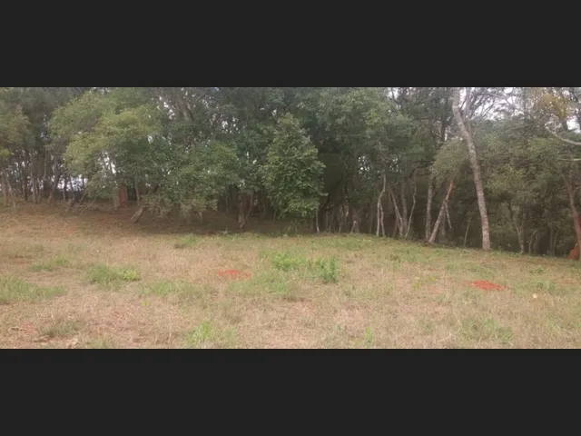 Imagem 11: Sítio de 3 Há em Carmopolis de Minas Mg
