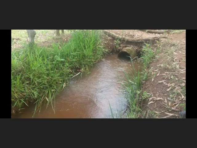 Imagem 7: Sítio de 3 Há em Carmopolis de Minas Mg