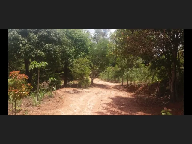 Imagem 8: Sítio de 3 Há em Carmopolis de Minas Mg