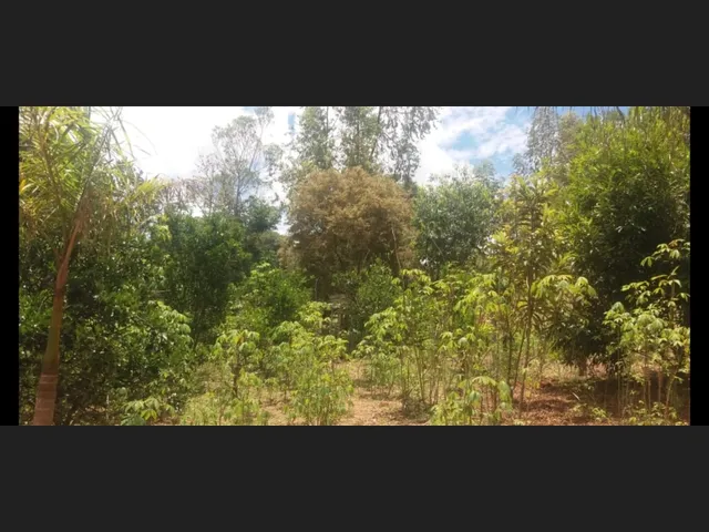 Imagem 12: Sítio de 3 Há em Carmopolis de Minas Mg