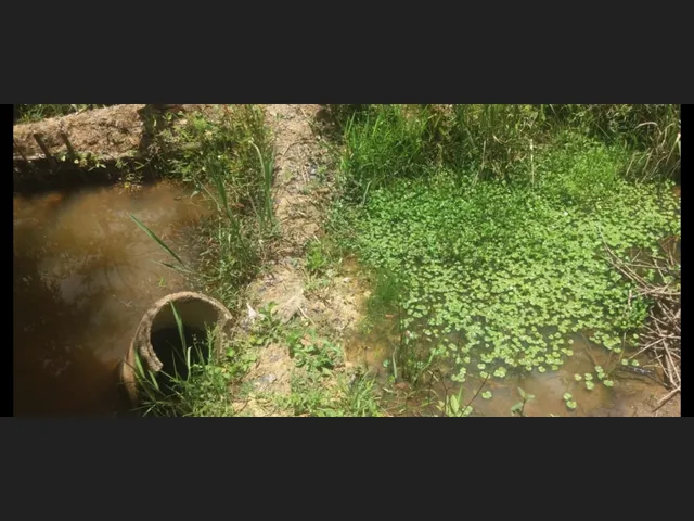 Imagem 2: Sítio de 3 Há em Carmopolis de Minas Mg