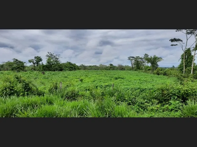 Imagem 1: Fazenda - À Venda - 5.000Ha- Sena Madureira-Ac