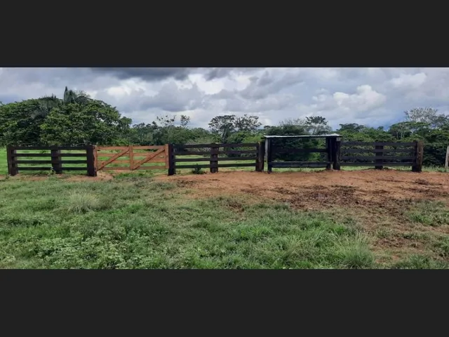 Imagem 2: Fazenda - À Venda - 5.000Ha- Sena Madureira-Ac