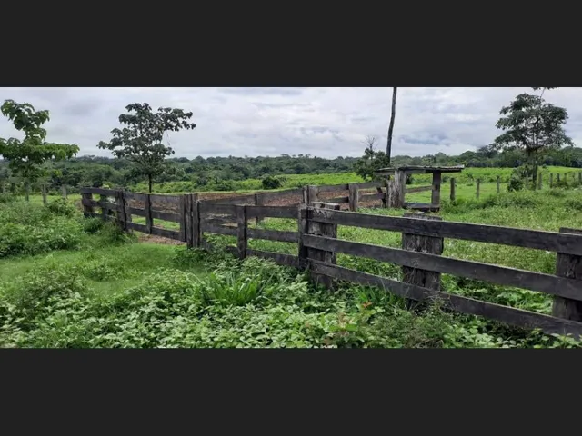 Imagem 8: Fazenda - À Venda - 5.000Ha- Sena Madureira-Ac