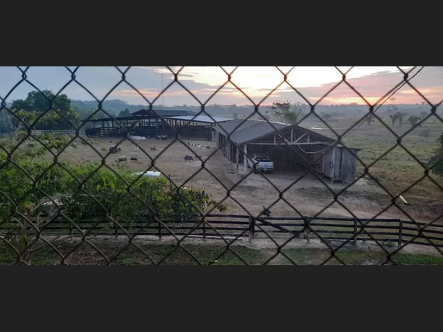 Imagem 13: Fazenda - À Venda - 5.000Ha- Sena Madureira-Ac
