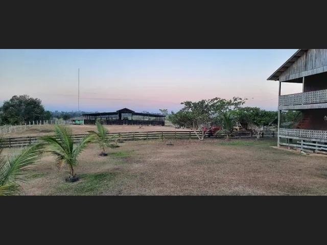 Imagem 5: Fazenda - À Venda - 5.000Ha- Sena Madureira-Ac