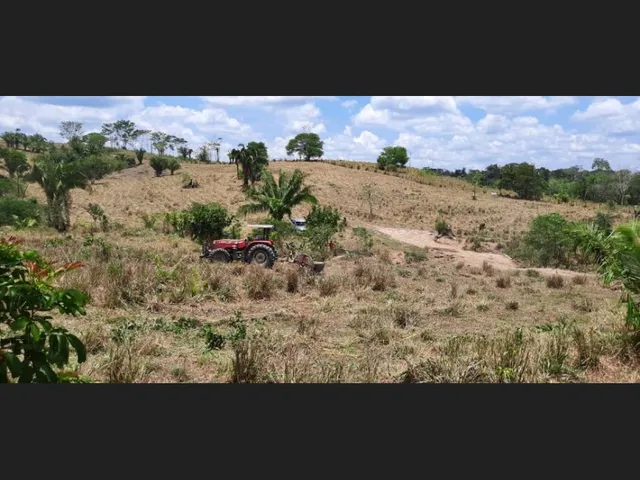 Imagem 3: Fazenda - À Venda - 5.000Ha- Sena Madureira-Ac