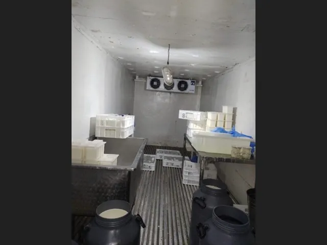 Imagem 16: 300 Alqueires com 300 Búfalos a 120Km de Belém Casa Sede Grande e de Vaqueiro