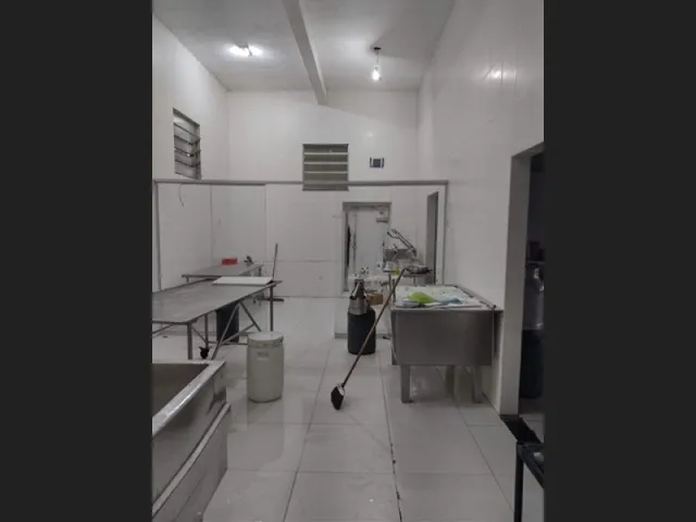 Imagem 4: 300 Alqueires com 300 Búfalos a 120Km de Belém Casa Sede Grande e de Vaqueiro