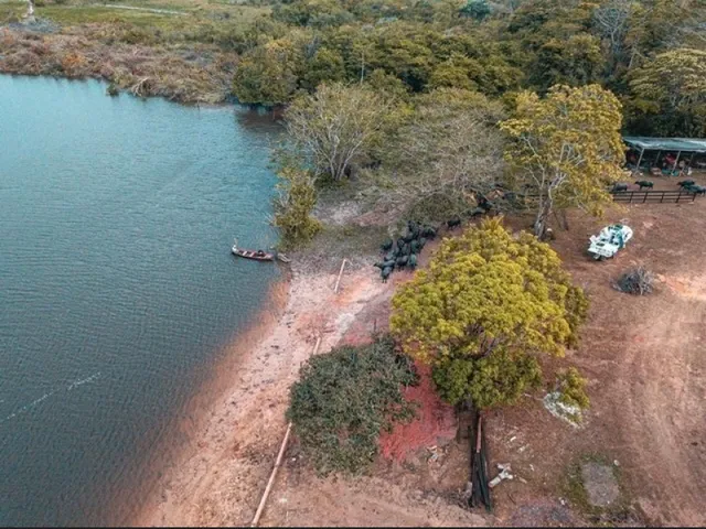 Imagem 5: 300 Alqueires com 300 Búfalos a 120Km de Belém Casa Sede Grande e de Vaqueiro