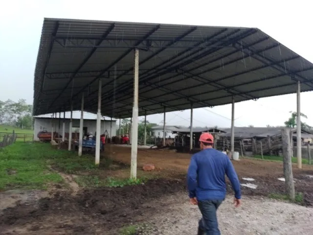 Imagem 2: 300 Alqueires com 300 Búfalos a 120Km de Belém Casa Sede Grande e de Vaqueiro