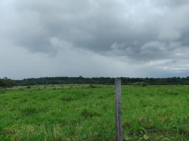 Imagem 9: 300 Alqueires com 300 Búfalos a 120Km de Belém Casa Sede Grande e de Vaqueiro