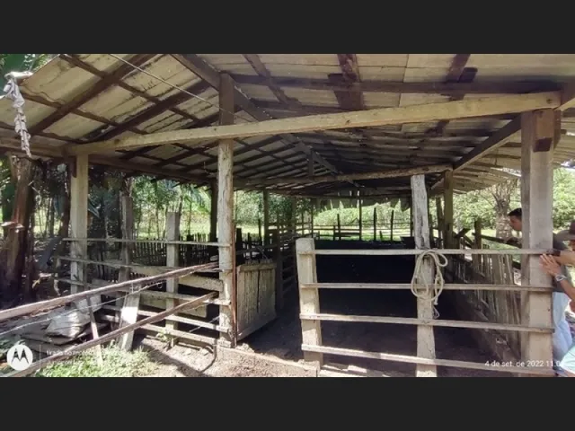 Imagem: 29 Hectares no Taua Toda Documentada Porteira
