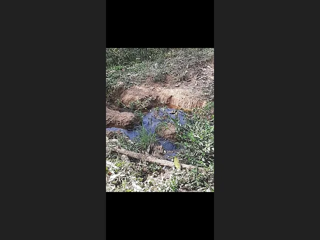 Imagem 4: Sitio de 12 Há em Carmopolis de Minas Mg