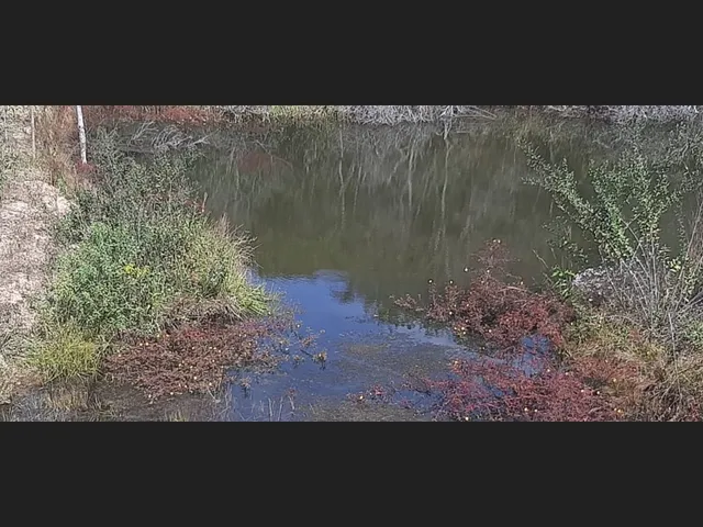 Imagem 8: Sitio de 12 Há em Carmopolis de Minas Mg