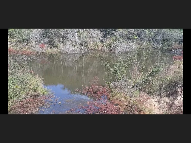 Imagem 3: Sitio de 12 Há em Carmopolis de Minas Mg