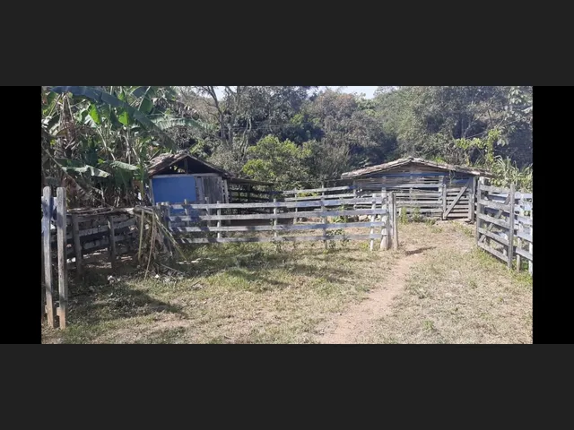 Imagem 10: Sitio de 12 Há em Carmopolis de Minas Mg