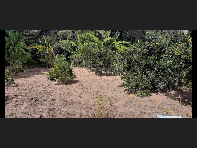 Imagem 6: Sitio de 12 Há em Carmopolis de Minas Mg