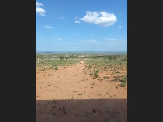 Imagem 6: Vendo Sítio / Chácara