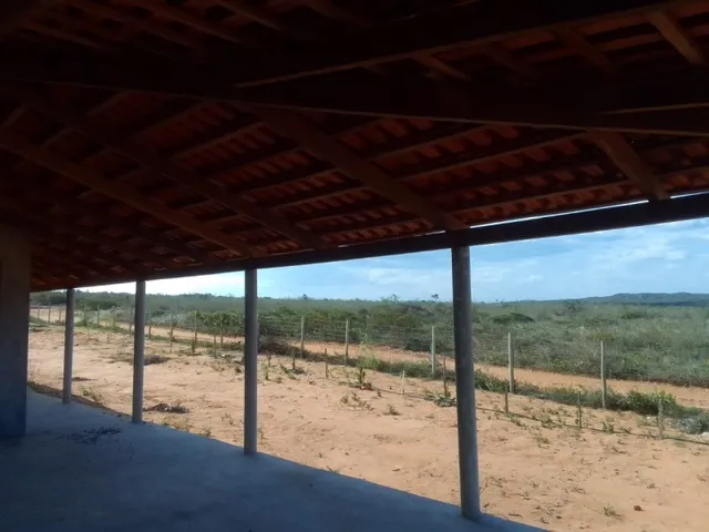 Imagem 3: Vendo Sítio / Chácara